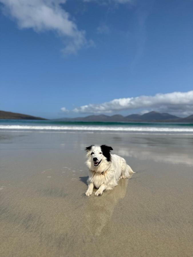 Kinnoull House Near Stornoway Hot-Tub Sauna Pet Friendly Garrabost Εξωτερικό φωτογραφία